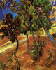 Trees in the Garden of Saint-Paul Hospital [2] Poster Print - Item # VARBLL058750538L
