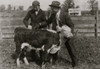 11 boys and 2 girls in Hillsboro are each taking a calf furnished by the County Farm Bureau on credit, - each agreeing to do the best to raise the calf and exhibit at the annual show. Poster Print - Item # VARBLL058754493L