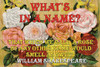 That which we call a rose by any other name would smell as sweet.  William Shakespeare. Poster Print by William Shakespeare - Item # VARBLL0587207280