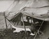 Westover Landing, Va. Lt. Col. Samuel W. Owen, 3d Pennsylvania Cavalry, caught napping Poster Print - Item # VARBLL058753615L