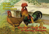 You don't have to be a spring chicken. Poster Print by Wilbur Pierce - Item # VARBLL0587209119