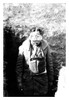 WWI photograph of troops engaged in the Great Conflict.  An American Soldier Wearing His Gas Mask in France, 1918. Poster Print by unknown - Item # VARBLL0587032243