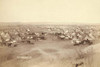 Bird's-eye view of a large Lakota camp of teepees, horses, and wagons--probably on or near Pine Ridge Indian Reservation. Poster Print by John C.H. Grabill - Item # VARBLL0587237929