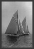Two majestic racers who once raced in the America's cup, the supreme racing event in the yachting world. Poster Print by Edwin Levick - Item # VARBLL0587037415