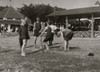 Teenage Boys sport on a sandy Beach, A pavilion of adults in the rear Poster Print - Item # VARBLL058754327L
