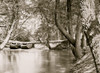 Taylor's Bridge, Virginia. Pontoon bridge across the North Anna river below Taylor's bridge Poster Print - Item # VARBLL058753407L