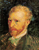 Vincent Van Gogh Poster Print - Item # VARBLL058750338L