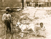 Two African-American children, one of them in cart pulled by dog. Poster Print - Item # VARBLL0587635355