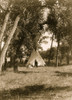 Tepee in a grove of trees. Poster Print - Item # VARBLL058747154L