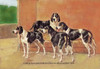 Four dogs against a wall as a backdrop. Poster Print by T. Ivester Llyod - Item # VARBLL058704750x