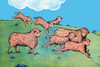 Frolicing sheep jump in the meadow. Poster Print by Queen Holden - Item # VARBLL0587279168