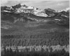 View of trees and snow-capped mountains "Long's Peak from Road Rocky Mountain National Park" Colorado 1933 - 1942 Poster Print by Ansel Adams - Item # VARBLL0587400889