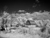 Barn, rural Montana Poster Print - Item # VARBLL058748556L