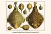 Diodon hystrix, Chilomycterus reticulatus, Diondontidae, Lagocephalus, colomensus psittacus, tetraodontidae Poster Print by Albertus  Seba - Item # VARBLL0587297980