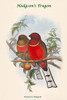 Harpactes Hodgsoni -Hodgson's Trogon Poster Print by John  Gould - Item # VARBLL0587318678