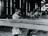 Interior of tobacco shed, Hawthorn Farm. Girls in foreground are 8, 9, and 10 years old. The 10 yr. old makes 50 cents a day. 12 workers on this farm are 8 to 14 years old, and about 15 are over 15 yrs Poster Print - Item # VARBLL058755126L