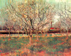 Orchard in Blossom Plum Trees Poster Print - Item # VARBLL058750510L