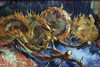 Four Sunflowers gone to Seed by Van Gogh Poster Print by Vincent Van Gogh - Item # VARBLL0587256303