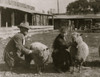 Clementine Miller with her sheep exhibit at the 4 H Club Fair, Charleston, W. Va. Poster Print - Item # VARBLL058754491L