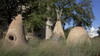 Teepees at the National Museum of the American Indian, SW, Washington, D.C. Poster Print - Item # VARBLL058759436L