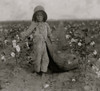 5-year old Harold Walker Picks Cotton Poster Print - Item # VARBLL058755156L