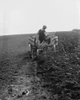 Ford Tractor plowing field Poster Print - Item # VARBLL058756554L