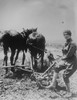 Woman's Land Army, Plowing a Field Poster Print - Item # VARBLL058756578L