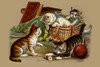 Kittens playing with thread and in sewing basket. Poster Print by  Luchsinger & Co. Muller - Item # VARBLL0587326336