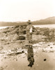 Man Digs for Clams Poster Print - Item # VARBLL058747503L