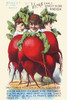 Victorian trade card for Rice's seeds. Showing women as radishes. Poster Print by unknown - Item # VARBLL0587391480