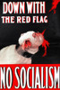Down With The Red Flag - No Socialism; liberal Unionist poster depicting the British Bulldog taking a large bite out of the impending specter of Socialism in the country. Poster Print by LSE Library - Item # VARBLL0587394226