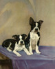 A pair of Bost terrier are alert.  Taken from "A Dog Book" by Albert Terhune published in 1932 and illustrated by Diana Thorne. Poster Print by Diana Thorne - Item # VARBLL0587405740