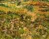 Meadow in the Garden of Saint-Paul Hospital Poster Print - Item # VARBLL058750451L