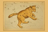 Astronomical chart showing a bear forming the constellation. Poster Print by Aspin Jehosaphat - Item # VARBLL0587232064