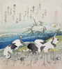 Cranes dig for clams Poster Print by Hokusai - Item # VARBLL0587651431
