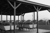 Laundry facilities at Westley camp for migratory labor. San Joaquin Valley, California Poster Print by Dorothea Lange - Item # VARBLL0587240962