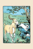 Two fox terriers miss the Billy goat and accidentally go for a swim in the lake.  An illustration from a series of children's books which came free with the Public Ledger newspaper. Poster Print by Julia Dyar Hardy - Item # VARBLL0587273054