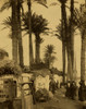 Palm trees, thatched roof huts, and villagers along the banks of the Nile River, Egypt. Poster Print - Item # VARBLL058754013L