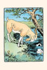 Two fox terriers swim in the lake as the Billy goat looks on.  An illustration from a series of children's books which came free with the Public Ledger newspaper. Poster Print by Julia Dyar Hardy - Item # VARBLL0587274247