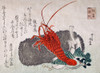 Lobster Poster Print by Shinsei - Item # VARBLL0587651245