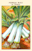 Blue leek Poster Print by unknown - Item # VARBLL0587408863