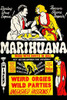 A cult classic movie poster by Roadshow Attractions about the drug Marihuana. Poster Print by unknown - Item # VARBLL0587286423