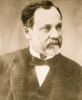 Dr. Daniel Pasteur Poster Print - Item # VARBLL058749049L