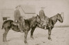 Two Cowboys - Miles City Montana Area Cabinet Card 1880S-90S. These Cowboys Have Great Hats, One Has Fringed Chaps, And They Both Carry Handguns. Photo Poster Print - Item # VARBLL0587402202