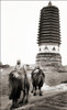 Buddhist temple of Cishou in Beijing, China Poster Print by unknown - Item # VARBLL0587434422