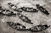 Traffic Jam on the River with multiple boats Poster Print by unknown - Item # VARBLL0587433493