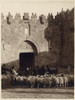 Flocking Sheep Before the Jerusalem Damascus Gate Poster Print - Item # VARBLL058746435L