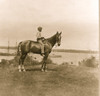 African American boy seated on a horse. Poster Print - Item # VARBLL0587634154