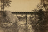 Two trestle bridges over a creek Poster Print - Item # VARBLL058745368L