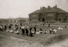 School garden - Jefferson School. Poster Print - Item # VARBLL058755135L